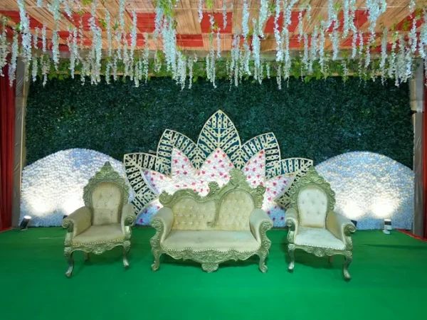 New Shiv lawn - Image 2