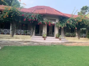 Colours garden